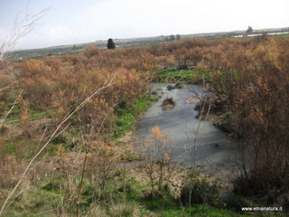 lle del Simeto-24-02-2013 10-25-28